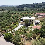 Ellio * Kalakaiika