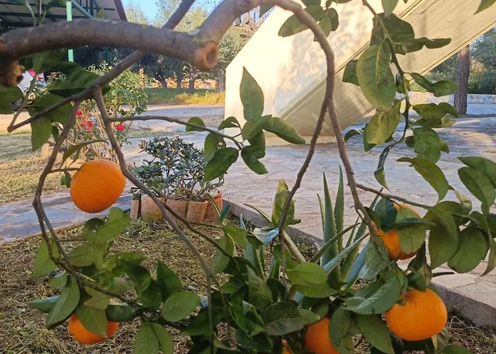 Ellio Apartman Kalakaiika